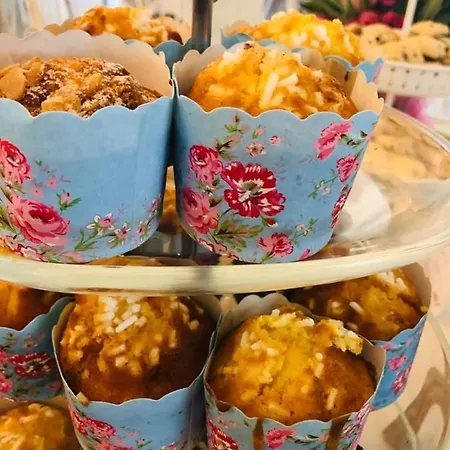 米兰聂斯酒店 3* 里米尼